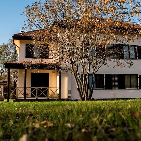 Pensiunea Negoiu Porumbacu de Sus Exteriér fotografie