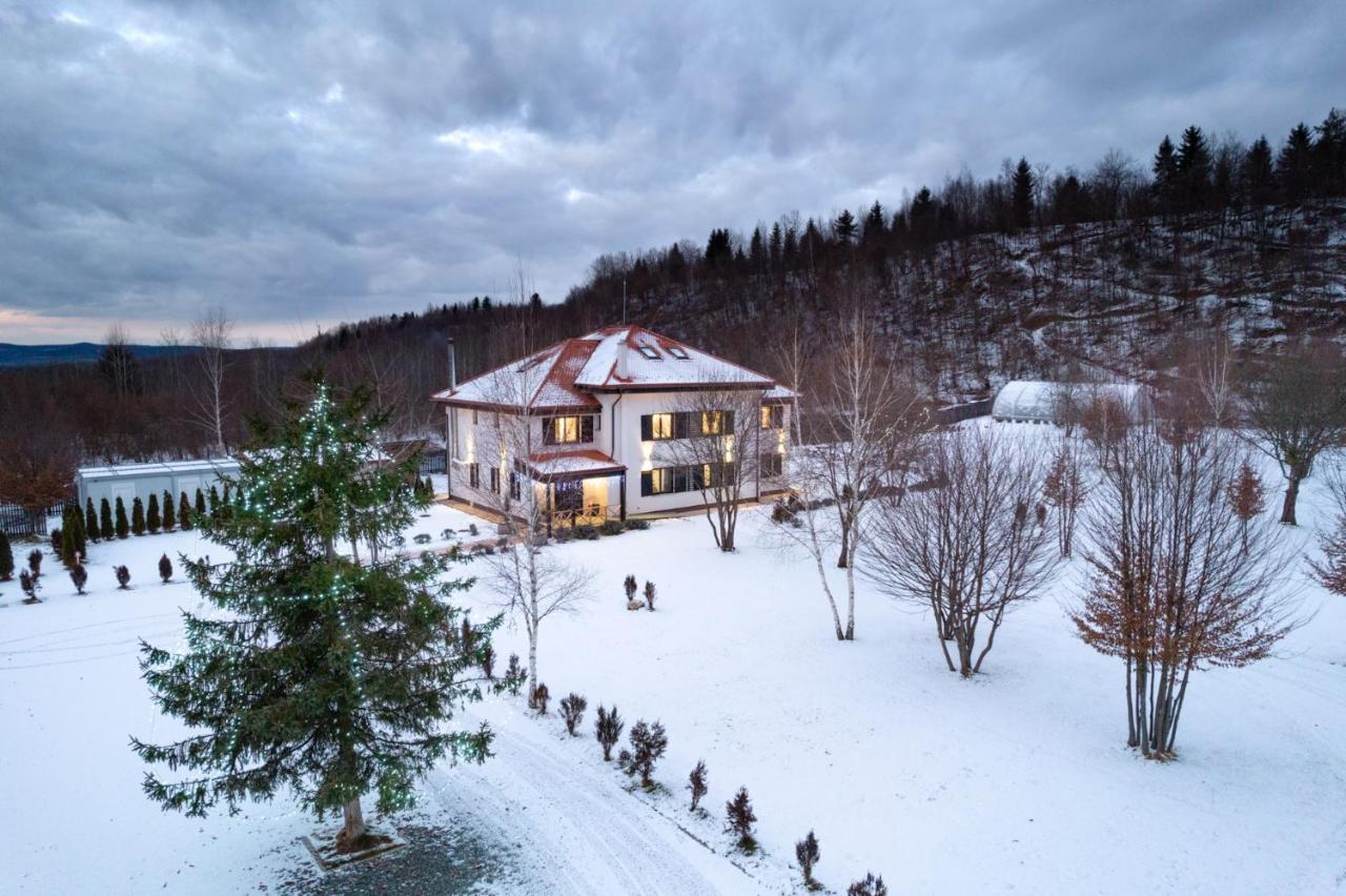 Pensiunea Negoiu Porumbacu de Sus Exteriér fotografie