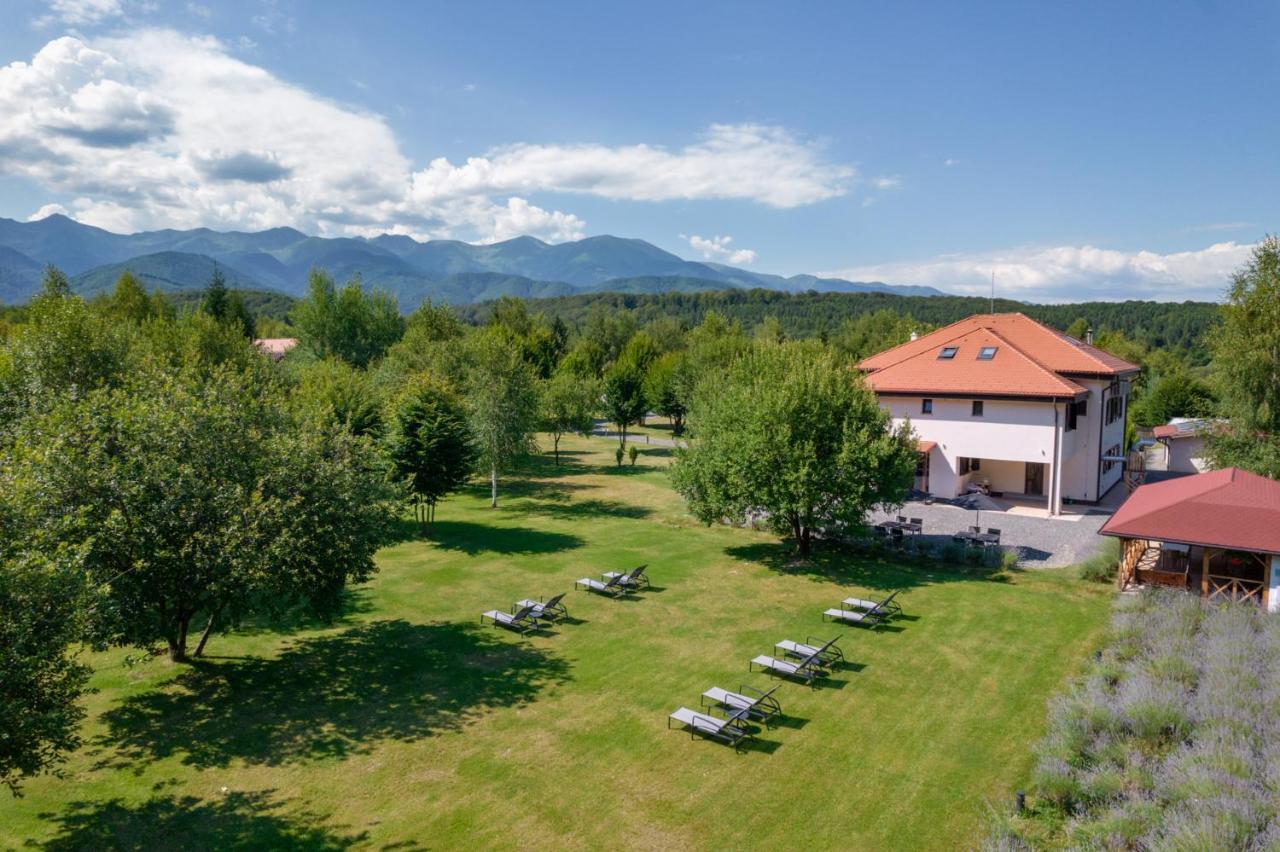 Pensiunea Negoiu Porumbacu de Sus Exteriér fotografie