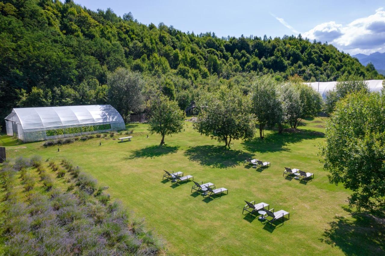 Pensiunea Negoiu Porumbacu de Sus Exteriér fotografie