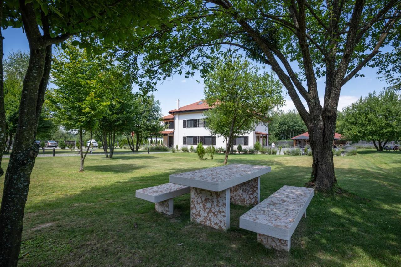 Pensiunea Negoiu Porumbacu de Sus Exteriér fotografie