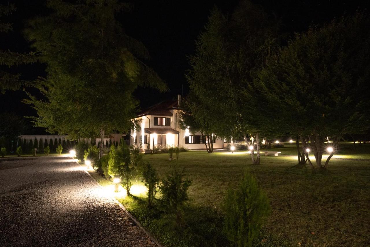 Pensiunea Negoiu Porumbacu de Sus Exteriér fotografie