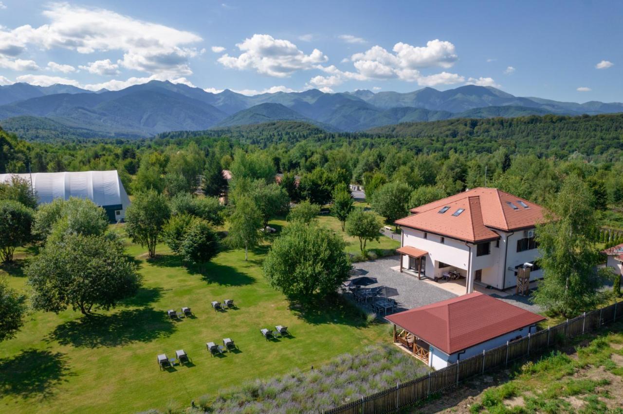Pensiunea Negoiu Porumbacu de Sus Exteriér fotografie