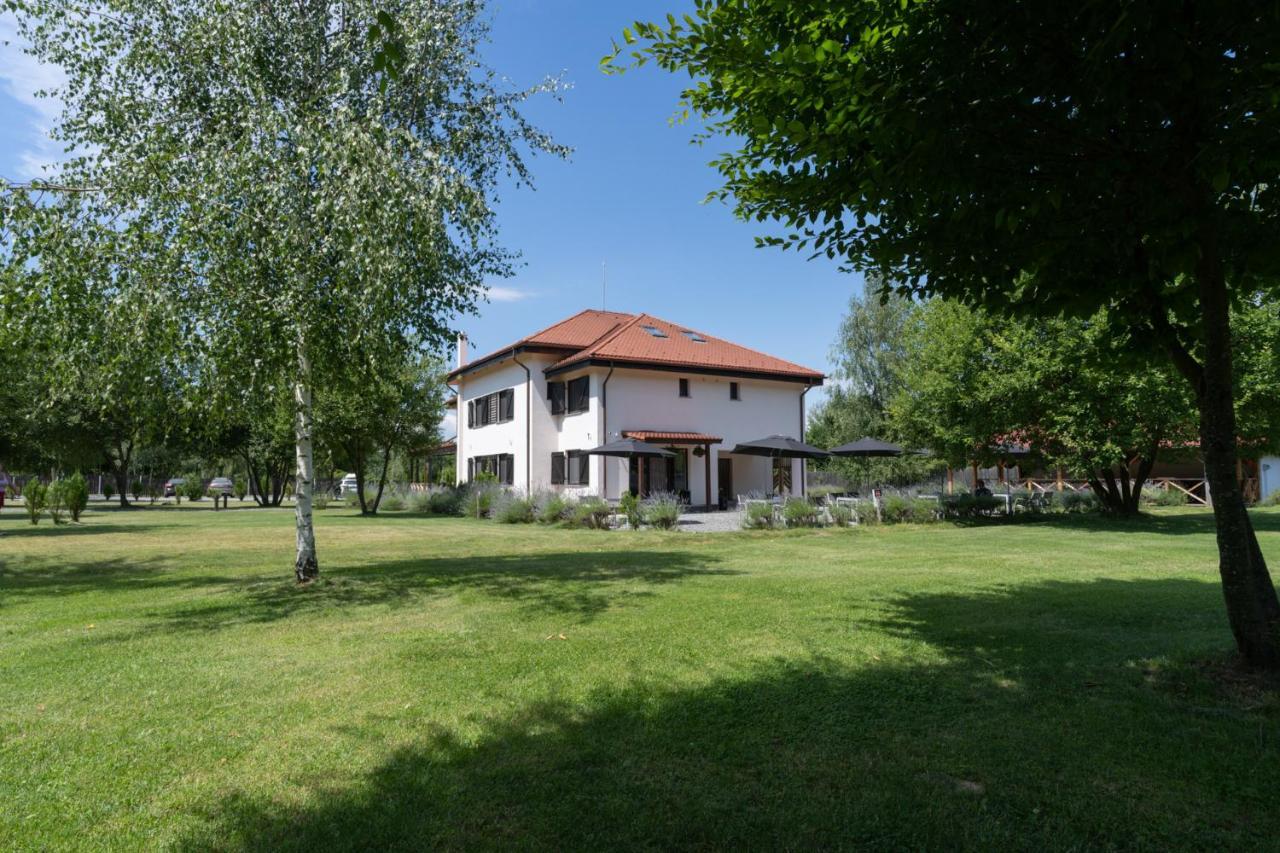 Pensiunea Negoiu Porumbacu de Sus Exteriér fotografie
