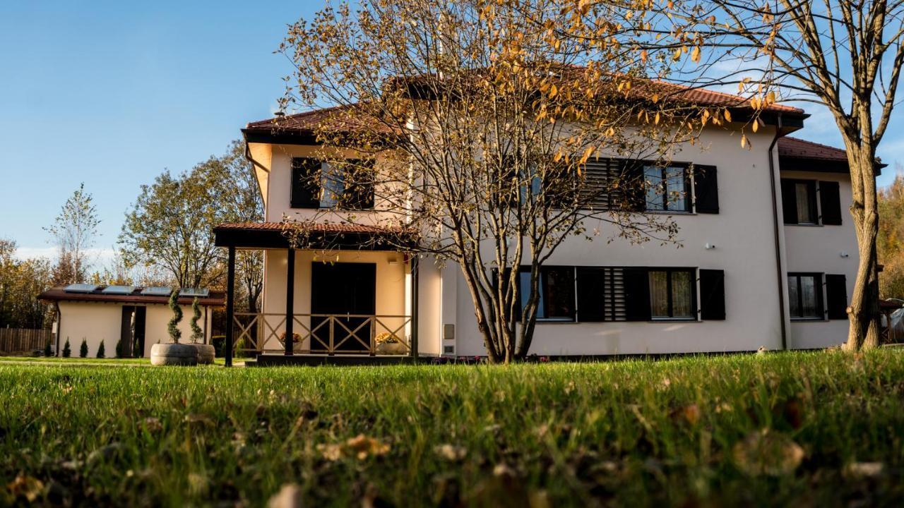 Pensiunea Negoiu Porumbacu de Sus Exteriér fotografie