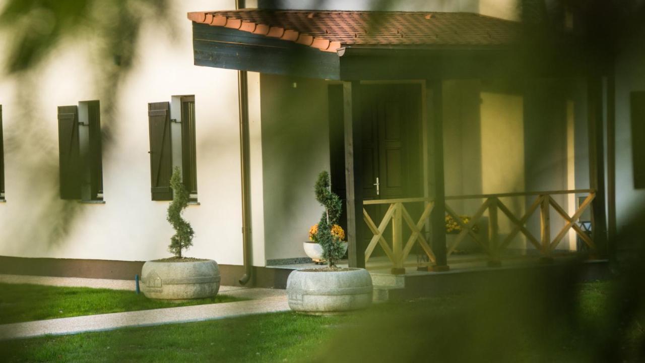 Pensiunea Negoiu Porumbacu de Sus Exteriér fotografie