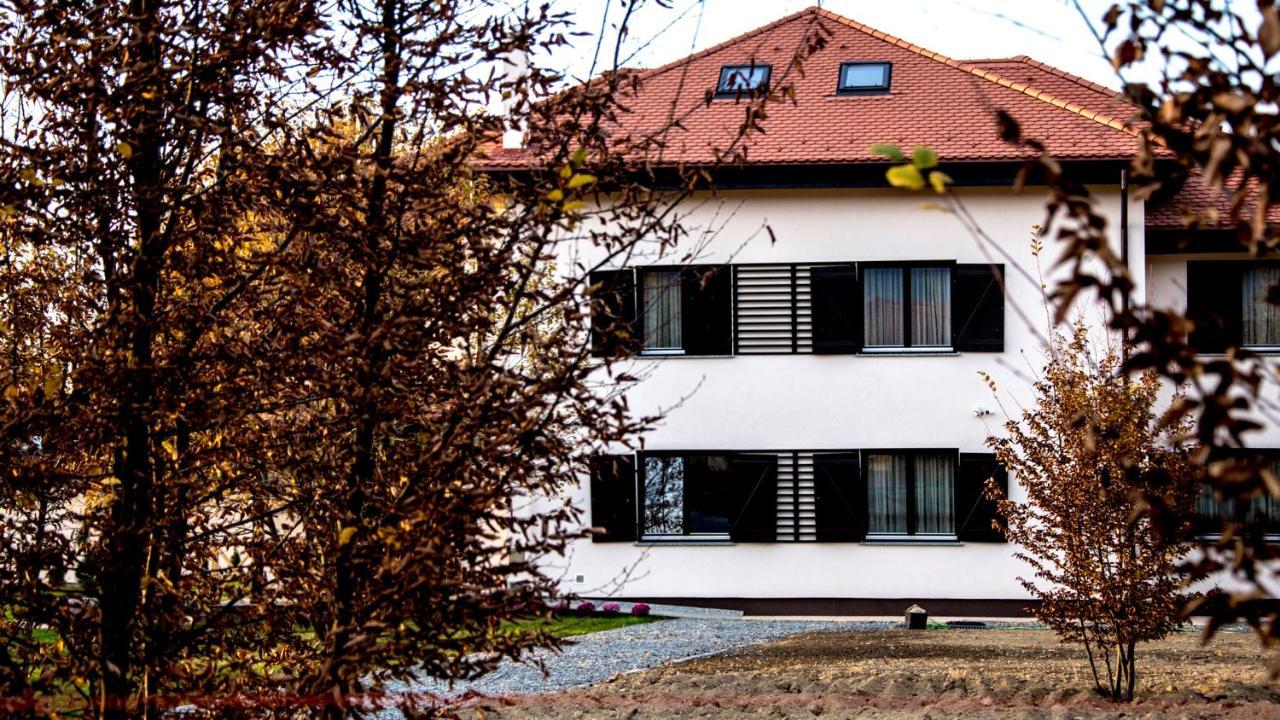 Pensiunea Negoiu Porumbacu de Sus Exteriér fotografie