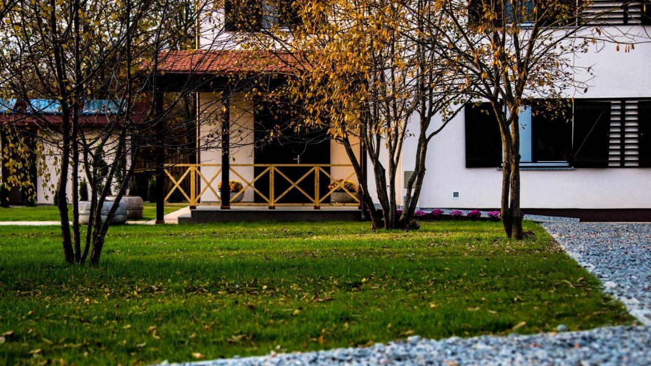 Pensiunea Negoiu Porumbacu de Sus Exteriér fotografie